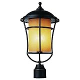 Trans Globe Lighting 5253 WB 1-Light Post Lantern, Weathered Bronze [並行輸入品]