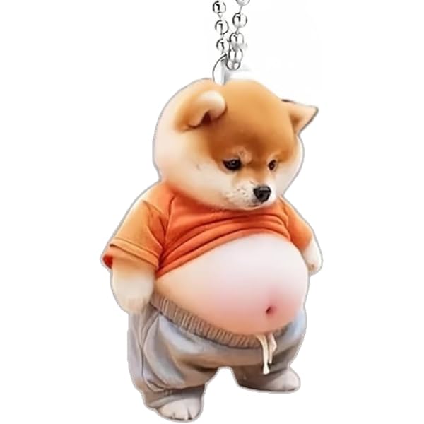 Amazon.co.jp: [aninako] 柴犬 キーホルダー 可愛い犬のキーホルダー