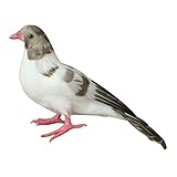Fenteer 小さいサイズ　人工鳥　　庭　家　装飾　人工羽根　小道具　全11種類 - ＃2
