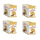 ロイヤルカナン BHN-WET ダックスフンド 成犬・高齢犬用 85g×48袋【まとめ買い】 ニューパッケージ