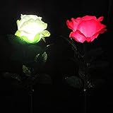 【手品 マジック】スーパーライトローズ 超明るい ライトローズ 充電式 エルイーディー 光りおもちゃ フラワーマジック ロマンティックマジック道具 近景舞台用マジック道具 手品道具 (白)