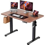 ErGear 電動昇降式デスク スタンディングデスク オフィスワークテーブル 幅100cm 耐荷重80kg 高さメモリー機能 ブラウン