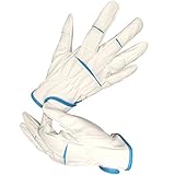 【エースグローブ】現場系女子 豚本革マジック内綿ブルー Mサイズ AG550