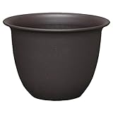 アイリスオーヤマ 鉢 和彩 中鉢 5号 黒土