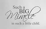 YINGKAI such a big miracle in such a little子ビニールデカールインスピレーション引用符リビングルームホーム子供部屋学校オフィスビニールCarving壁デカール