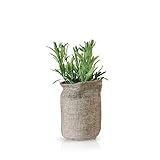 人工観葉植物 造花 フェイクグリーン ジュートポット お手入れ不要 玄関 トイレ お部屋 インテリア C
