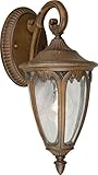 Forte Lighting 1824-01-41 Exterior Wall Light with Clear Seeded Glass Shades, Rustic Sienna [並行輸入品]