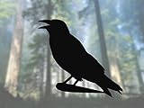 Crow Ravenビニールデカール – 選択サイズ (C) Large: 12" ホワイト CV543_White_12"