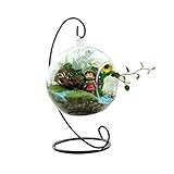 Kicode ラウンドハンギング ガラスの花瓶 1つの穴と ホームや結婚式のために