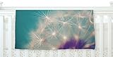 KESS InHouse Sylvia Cook Dandelion Seedhead White Aqua Fleece Baby Blanket 40 x 30 [並行輸入品]
