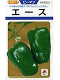 ピーマン　エース　タキイ交配　（グリーンデポ）