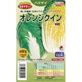 白菜 種 オレンジクイン L5千粒
