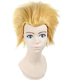 コスプレ用 ウィッグ Fate/stay night Fate/Zero ギルガメッシュ 風 ライト ゴールド ツンツン オールバック 【こすねこ】