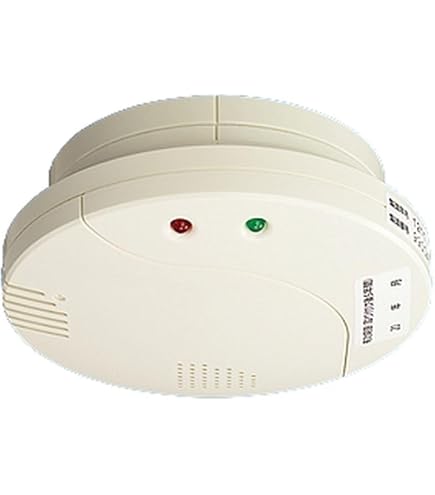 Amazon.co.jp: パナソニック ガス警報器 《ガス当番》 都市ガス(天然