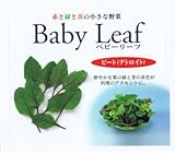 【種子】ウインナーキャロット 3ml