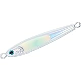 ダイワ(DAIWA) タングステンジグ TGベイト30~180g 各種 (2024年モデル)