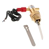 F Fityle フロースイッチ　パドル式　10L/min　ノーマルオープン　黄銅製