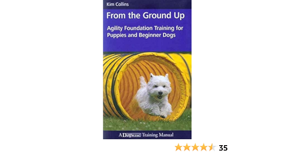 agility foundation training