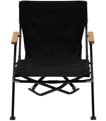  peak ローチェア30 2脚セット スノーピーク ローチェア30 2脚セット スノーピーク ローチェア