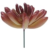 Kangniceシミュレーションプラスチックミニチュア多肉植物植物花ホームガーデンオフィス装飾