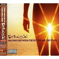 Fat Boy Slim Palookaville 2枚組LPレコード Fatboy Slim - Palookaville | TheAudioDB.com