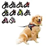 中型犬 ハーネス、IDタグカスタム、引っ張り防止胴輪 首締め防止効果き、ペット用首輪、 サイズ調整可能 訓練 ハンドル付き、抜けない お出かけ 夜間反射、柔らかい素材 通気性、快適犬用ハーネス、イージーウォークハーネス、人気犬の散歩グッズ（赤色S）