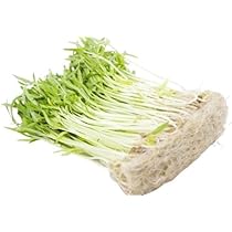 Amazon.co.jp: 【朝市場直行】岐阜県ほか 空芯菜 空心菜の芽 PC