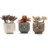 T4U 7CM 陶器 フクロウ模様 植木鉢 多肉植物 サボテン鉢 フラワーポット プランター容器 多彩 3個入り