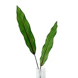 【Blooming＆me】フラワーデザイナー推薦 枯れない 高品質 上質な造花 南国な雰囲気 グリーン ハワイアンリーフ 2本セット [並行輸入品]