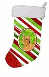 キャロラインはノーリッチ・テリア冬スノーフレーククリスマスの靴下にSS4568-CS 11×18の宝物
