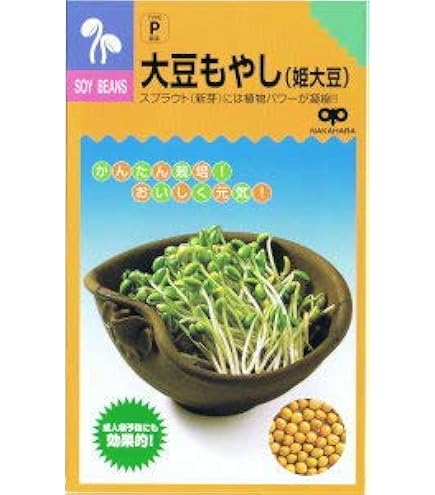 もやし Amazon.co.jp: Roczential 育苗ポット もやし栽培 スプラウト