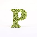 A plus floral art インテリアグリーン イニシャルモス [ P ] アルファベット オブジェ 置物 苔 イニシャル 雑貨 北欧風 インテリア