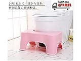HANBUN 洋式トイレ用足置き台 トイレ踏み台 子供 トイレトレーニング 便座 補助台 HM008 (WHITE)