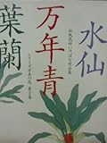 水仙・万年青・葉蘭 (伝統花材いけばな作品集―シリーズ日本の花)