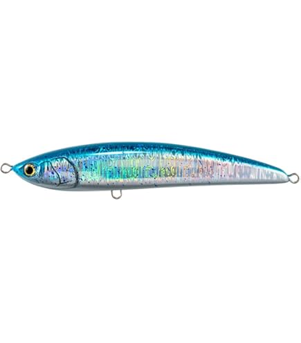 Amazon.co.jp: ヤマシタ(YAMASHITA) マリア ラピード F 230mm 036