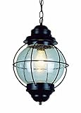 Trans Glob Lighting 69903 BK Outdoor Pendant Light [並行輸入品]