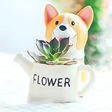 Non-brand 庭の花のかわいい犬のデザイン樹脂ポットプランター多肉植物ハーブ植物のベッドボックスケースコンテナ