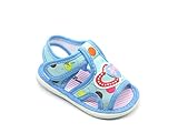 Blueberry ベビー・ガールズ US サイズ: 9 M US Toddler