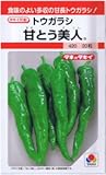 【種子】トウガラシ 甘とう美人 約20粒