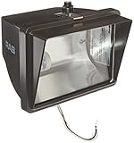 RAB Lighting FFH70/PC Metal Halide HID Future Floodlight, ED17 Type, Aluminum, 70W Power, 5600 Lumen