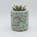 多肉植物　ミニ観葉　植木鉢　ガーデニング　各種天然宝石、瑪瑙、水晶、貝殻使用 防水、防腐、防虫、通気　呼吸できる鉢【8.5x9　cm】 (アマゾナイト（天河石）)
