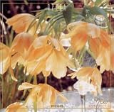 �I�y����D��