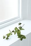 COVENT GARDEN（コベントガーデン） グリーンヒペリカム 造花 人工観葉植物 TM-22 【まとめ買い×12セット】