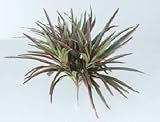 タカショー 【観葉植物・グリーンデコ和風】 ヤブラン レッド W25cm メンテが楽でリアルな人工植物 GN-69R