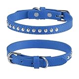 BINGPET 犬 首輪 ペット用品 ベーシック 犬首輪 本革 スタッズ付き 犬の首輪 いぬ 犬くびわ 小型犬 中型犬 大型犬 柴犬 秋田犬 (ブルー Sサイズ)
