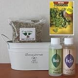 コリアンダーの栽培セット/豊作セット（液体肥料付き）プランターホワイト仕様