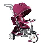 Kettler 6-in-1 Ultimate Tricycle Ride On, Violet [並行輸入品]