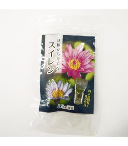 希少　台湾白玉レンブ　取木苗木　蓮霧 Amazon.co.jp: 希少 台湾白玉レンブ 取木苗木 蓮霧 : DIY・工具