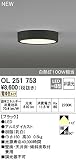 オーデリック　フラットプレート 【OL 251 753】【OL251753】