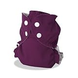 AppleCheeks Envelope Cloth Diaper Cover, Suddenly Royal, Size 1 (7-20 lbs) by Apple Cheeks